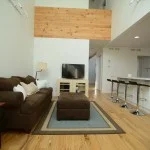 Living room and kitchen combination